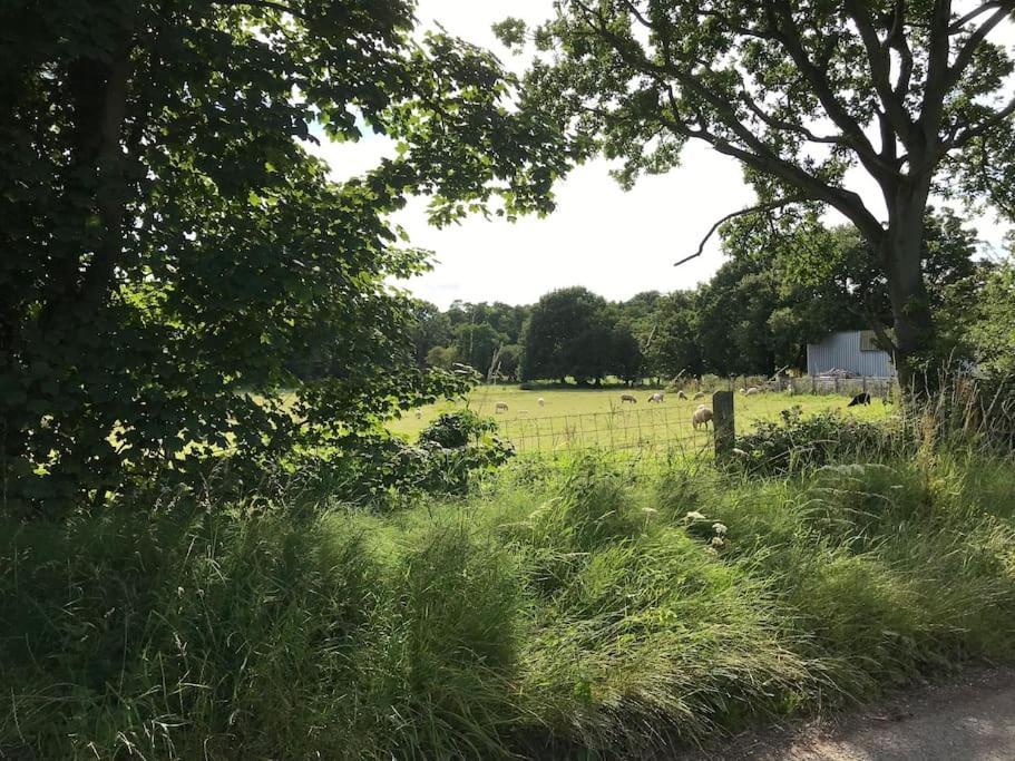 Betty'S Cottage - Traditional Norfolk Farm Cottage Swafield Εξωτερικό φωτογραφία