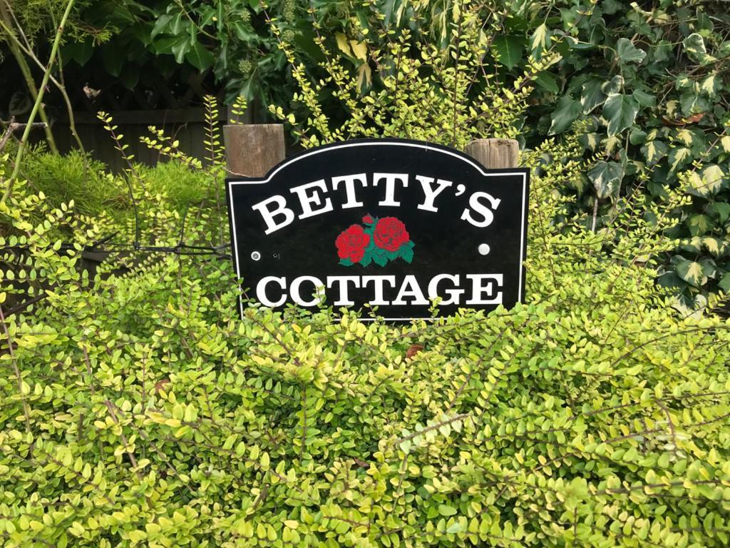 Betty'S Cottage - Traditional Norfolk Farm Cottage Swafield Εξωτερικό φωτογραφία